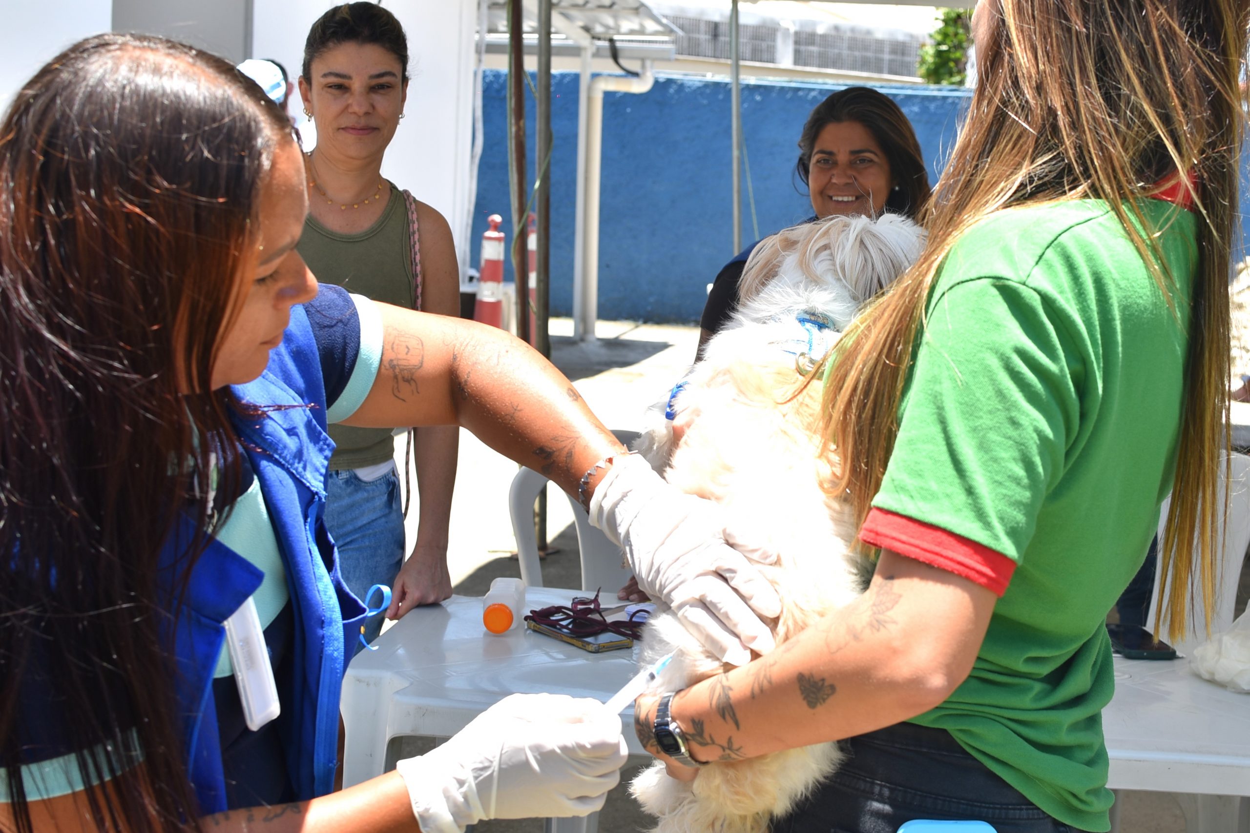 Foto - Clarildo Menezes