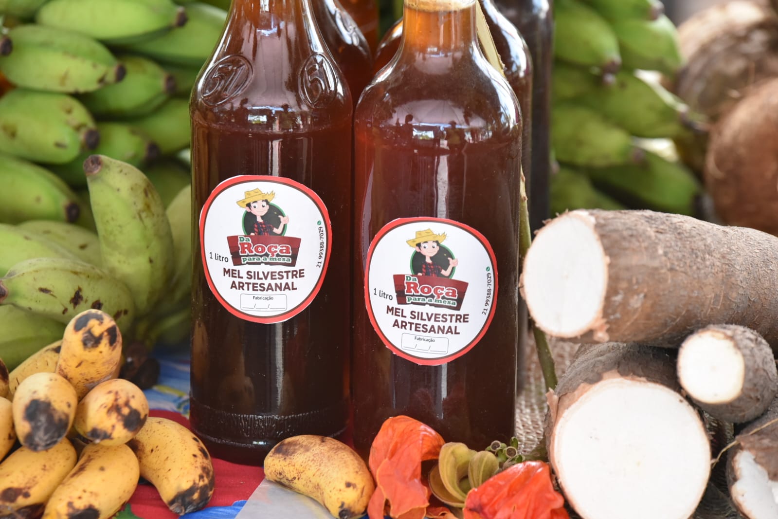 Foto - Katito Carvalho