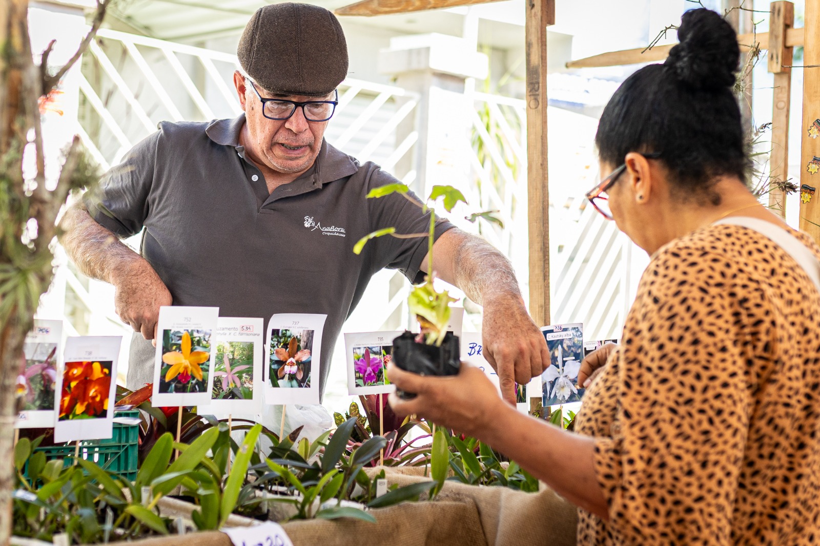 Foto: Bernardo Gomes